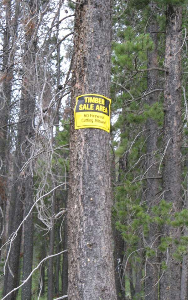 Priest Pass Timber Lot